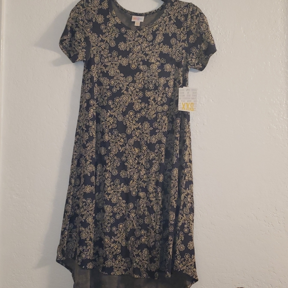 LLR Carly